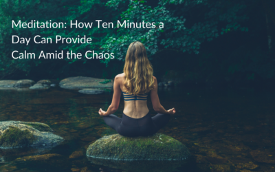 Meditation the calm amid the chaos